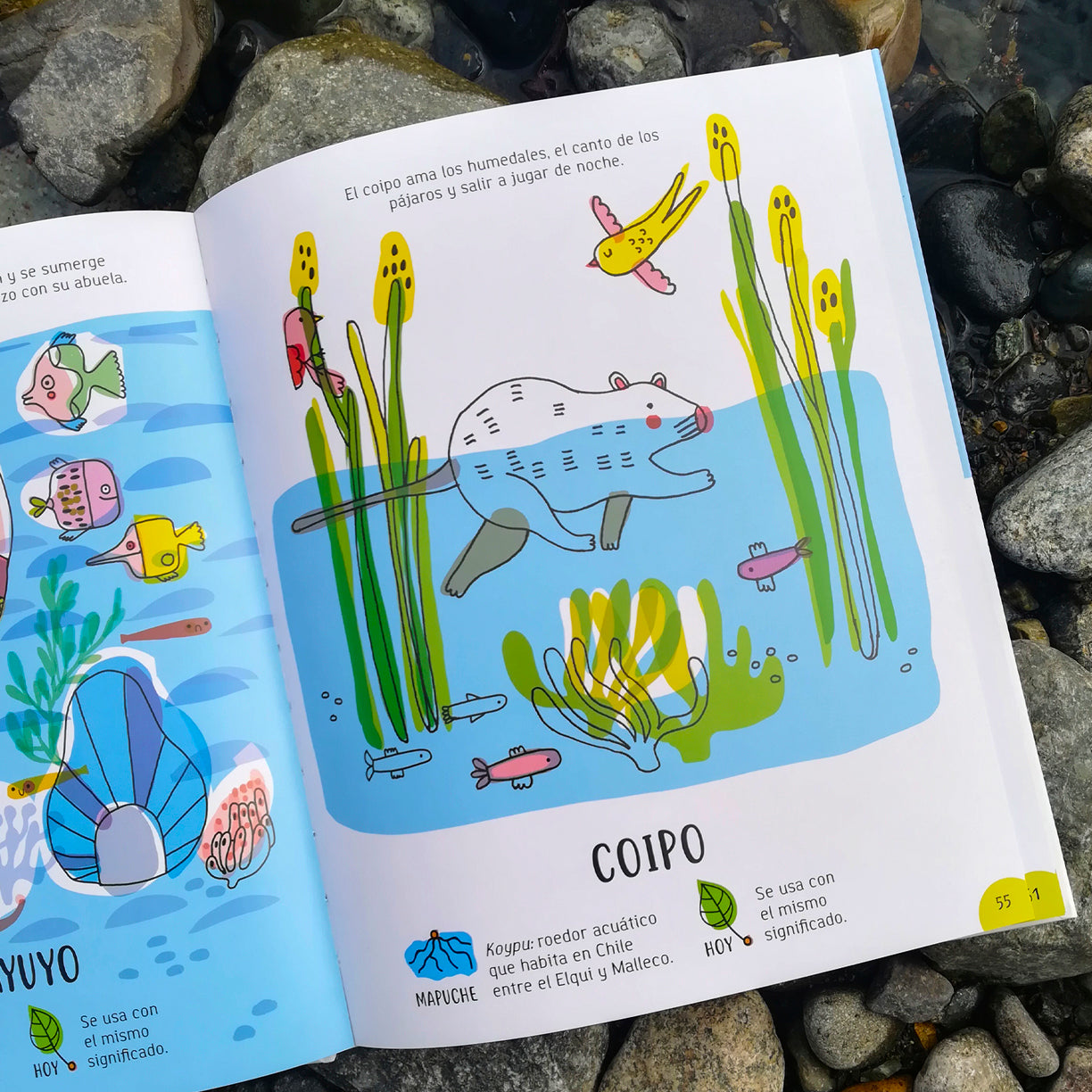 Libro "La Raíz"