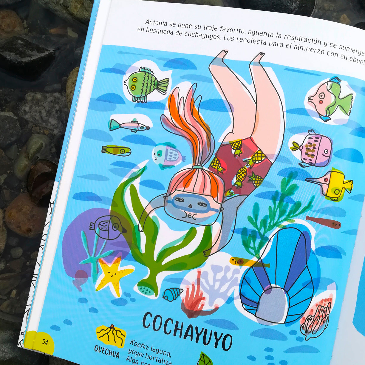 Libro "La Raíz"
