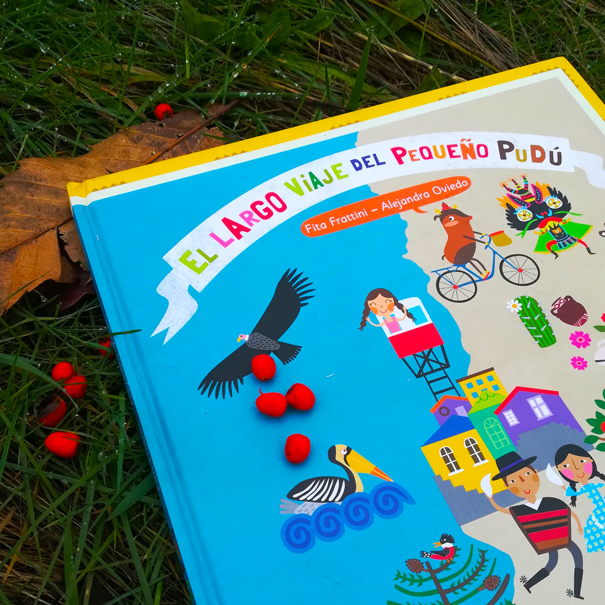 Libro infantil Fita Frattini